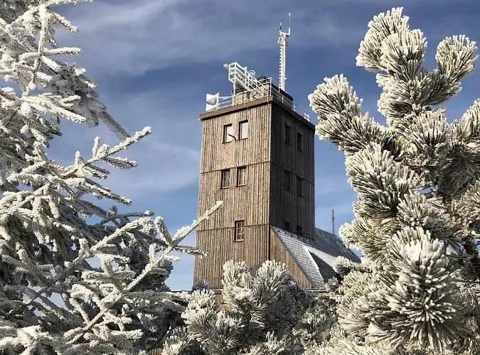 Апартаменты Schaefers