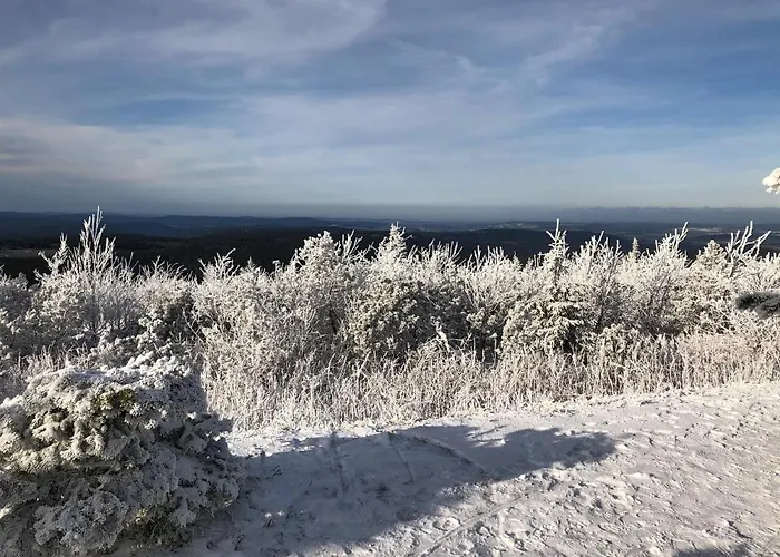 Schaefers * Курорт Обервизенталь