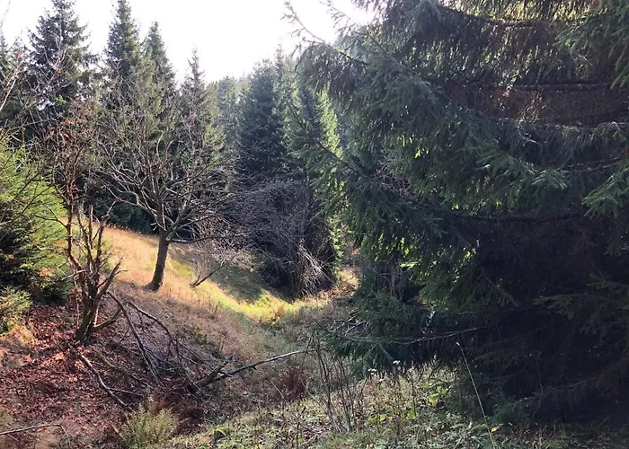 Schaefers Апартаменты *