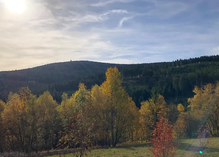 Schaefers Апартаменты *